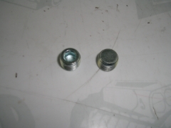 Blindstopfen - Plugs  1/4 NPT